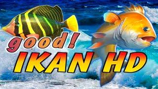 Mancing ikan hd di laut luas  Fishing hook