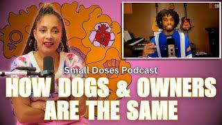 How Dogs & Owners Are The Same ◽ Small Doses Podcast