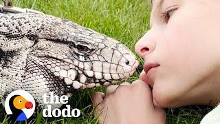 Lizard Loves Cuddling With His Favorite Girl  The Dodo