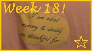 WEEK 18 DIY Pregnancy Pillow BUMPDATE First Child IVF Sucess