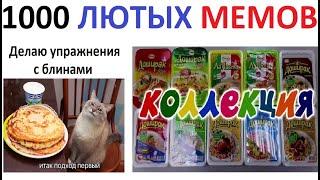 1000 лютых МЕМОВ с канала Макса Максимова МЕГАПОДБОРКА