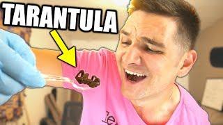 Getting a Tarantula in the Mail