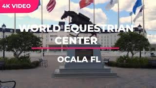 My Visit to World Equestrian Center in Ocala Florida world equestrian center ocala