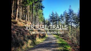 Treadmill Workout Virtual Trail Run   Cardinham woods Cornwall  Trail Running Scenery  4K 
