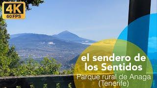 Sendero de los Sentidos - Parque rural de Anaga Tenerife 4K
