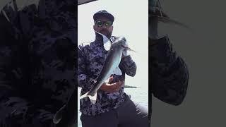 Florida Fishing #fishing #catchandcook #outdoors