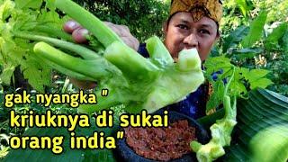 Gak nyangka  kriuknya sampai india MUKBANG BATANG DAUN PEPAYA sambel terasi  eating papaya tree