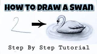 How To Draw A Swan  Easy Tutorial  Step By Step  Arts Core