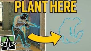 These Plant Spots SHOULDNT WORK