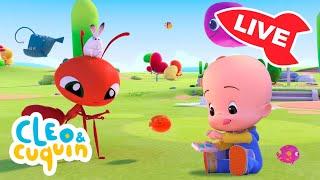  LIVE  Nursery Rhymes and children songs with Cleo and Cuquin