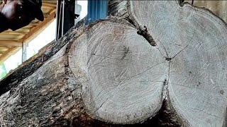 It is estimated that this old wood is more than 100 years old.