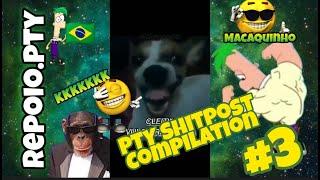 Shitpost brasileiro   PTY Shitpost Compilation #3  Macaquinho Edition