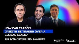 How Can Carbon Credits Be Traded Over A Global Scale? With Hirander Misra and Asad Sultan