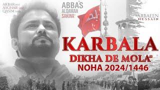 Karbala Dekha De Mola  Syed Raza Abbas Zaidi  Nohay 2024  Muharram 1446  2024  Karbala