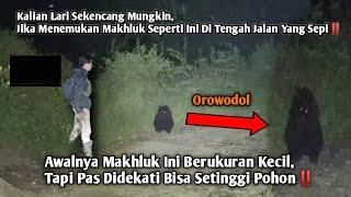 Kalian Lari Sekencang Mungkin Jika Menemukan Makhluk Seperti Ini Di Jalan Yang Sepi‼️Hantu Orowodol