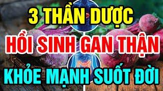 10 Thực Phẩm Là Vua BỔ GAN KHỎE THẬN Cứ Ăn Vào Là GAN THẬN Yếu Đến Mấy Cũng Hồi Sinh Trở Lại