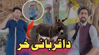 Da Qurbani Khar Pashto Funny  Afaq Aw Nafees 2024