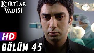 Kurtlar Vadisi - 45.Bölüm  FULL HD YENİ