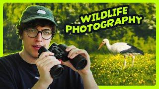Rare Wildlife Photography Adventure