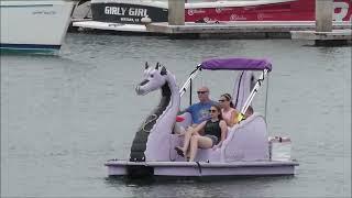 Swans Ducks and Dragons Pedal Boats at Ventura Harbor