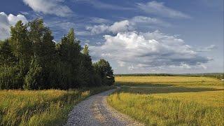 Эх не одна во поле дороженька. Исполняет Игорь Лынковский