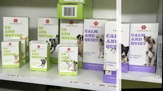 Veterinarians seek permission to research pot meds for pets.
