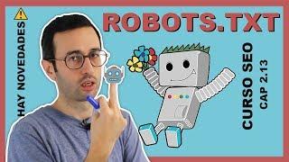  ROBOTS.TXT  qué es y porqué puede afectar al SEO de nuestra web - Curso SEO 2.1.13