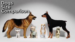 Dogs Size Comparison
