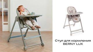 Стульчик для кормления с рождения от Happy Baby Berny Lux