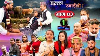 Halka Ramailo  Episode 43  06 September 2020  Balchhi Dhrube Raju Master  Nepali Comedy