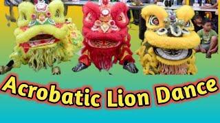 Keseruan Barongsai Atraksi Menampilkan Barongsai Minum Air Gelas Acrobatic Lion Dance Indonesia