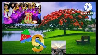 Best Eritrean Music Tekle Kflemariam wedi Tukul chiru bereka. ጭሩ በረኻ ቅርቅረ ብተክለ ክያም ወዲ ትኹል. #shorts