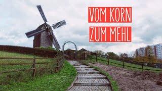 Vom Korn zum Mehl  Kaulsdorfer Mühle