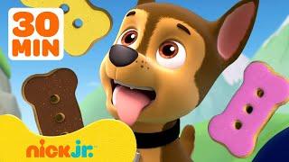 PAW Patrol Loves Yummy Pup Treats w Chase & Rubble  30 Minute Compilation  Nick Jr
