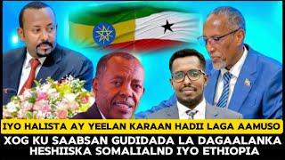 Reer Somaliland Oo Soo Bandhigay Xog Ku Saabsan Gudida La Dagaalanka Heshiiska  Ethiopia & Halista