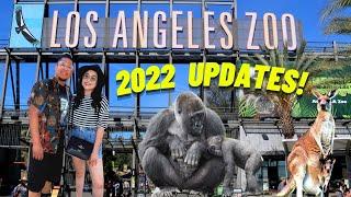 NEW at the LA ZOO in 2022?
