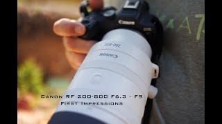 NEW Canon RF 200 - 800 F6.3 - F9 Lens - Wildlife and Bird Photography