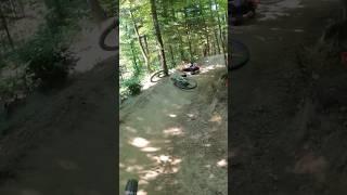 Bike VS Tree again #mountainbike #bike #crash #fail