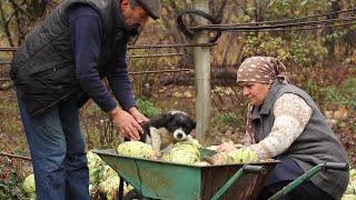 Ukrainian Red Beef Borscht Soup-Cooking on Campfire