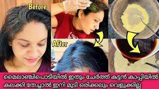 ഒറ്റ ദിവസം കൊണ്ട് മുടി കാക്ക കറുപ്പാകും ഇങ്ങനെ ചെയ്താൽ #natural #hairdyeing #henna #indigo #athome