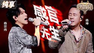 【纯享版】杨宗纬首度挑战80年代复古曲风！搭档杨坤嗨唱《感官先生》将成熟男人的“韵味”体现得淋漓尽致！ #天赐的声音5 EP6 20240531