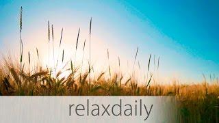 Light & Calm Music - yoga study think relax - N°014 4K