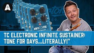 TC Electronic Infinite Sample Sustainer - Capture The Moment and Make A Soundscape