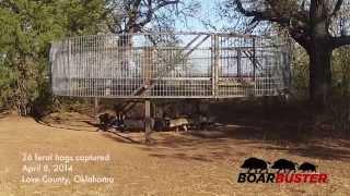 BoarBuster Feral Hog Trap Drop  Feral Hog Trapping