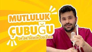 Mutluluk Çubuğu Nasıl Kullanılır? Dışardan Görülür mü? Maket Üzerinde Anlatım