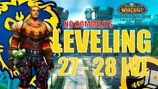 WOTLK Leveling Alliance Guide Paladin 27-28 One hour preparation WoW 4KASMR