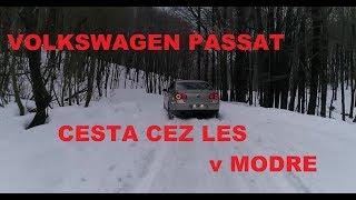 Volkswagen Passat B6 4motion in a snowy forest 4K