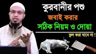 কুরবানী পশু জবাই করার সঠিক নিয়ম ও দোয়া কোন দোয়া পড়ে জবাই করবেন?শায়খ আহমাদুল্লাহ Shaikh Ahmadullah