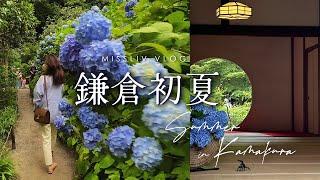 【鎌倉初夏慢遊】北鎌倉 明月院繡球花滿開｜鎌倉站 小町通在地美食｜梅雨季節最美的風景｜Tokyo Vlog｜日本旅行與生活