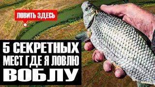 ГДЕ ЛОВИТЬ ВОБЛУ В 2024 ГОДУ? РАСКРЫВАЮ СВОИ МЕСТА ДЛЯ РЫБАЛКИ В АСТРАХАНИ